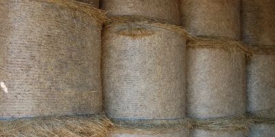 Seno (balík o průměru 125 cm)