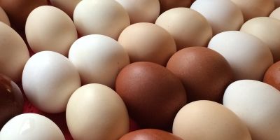 Slepičí vejce (plato 30 ks)