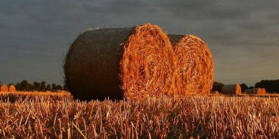 Balíkování sena, slámy a senáže